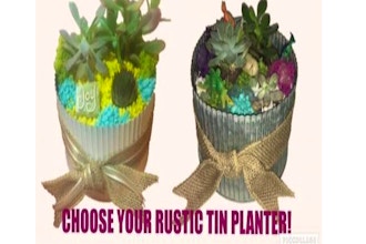 Plant Nite: Choose Your Tin Planter (Age 6+)